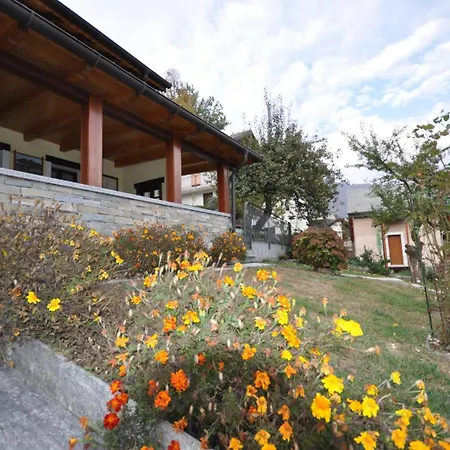 Cat Marvei Villadossola