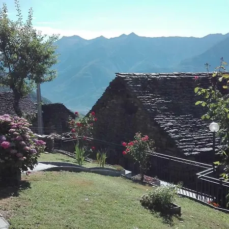 Apartment Cat Marvei *