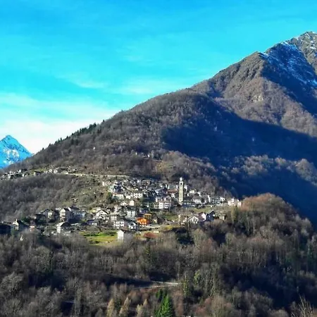 Cat Marvei Villadossola