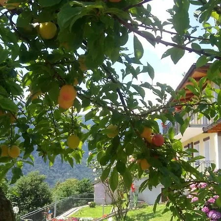 Apartamento Cat Marvei