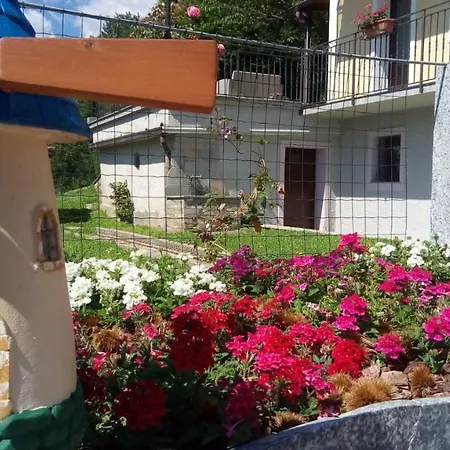 Cat Marvei Lägenhet