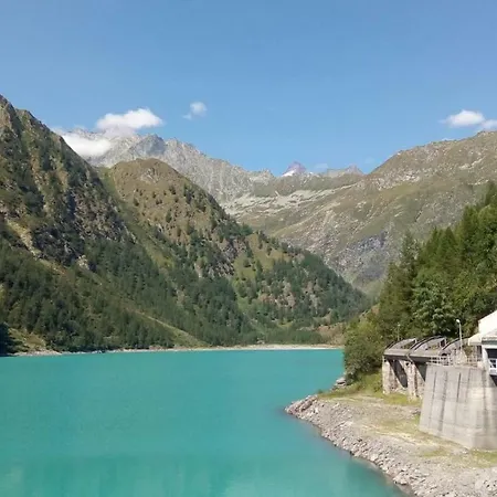 Cat Marvei Villadossola