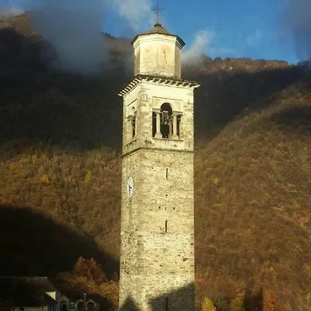 Cat Marvei Villadossola