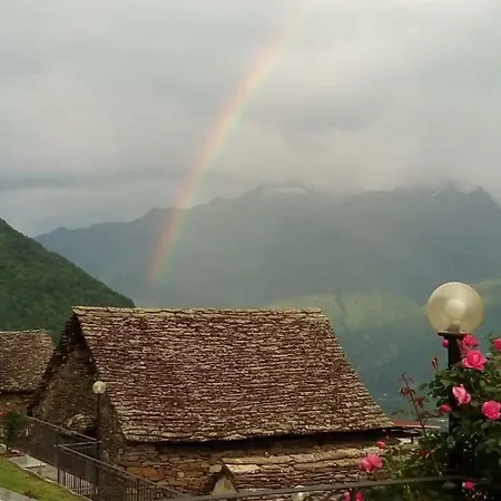 Cat Marvei * Villadossola